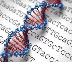 Genetic Testing